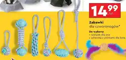 Biedronka Zabawki dla czworonogów oferta