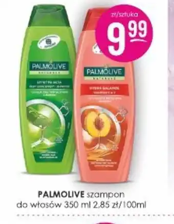 Jaśmin Palmolive szampon do włosów oferta