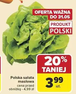 Carrefour Sałata masłowa Carrefour oferta