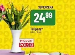 Polomarket Bukiet tulipanów Tulipany oferta