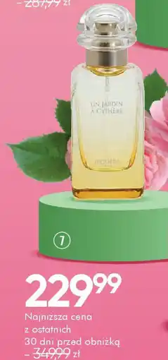 SuperPharm Perfumy oferta