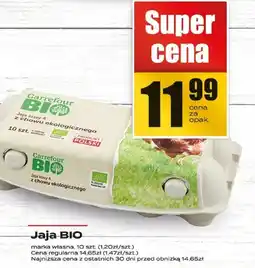 Supeco Jaja BIO 10 szt. Supeco oferta