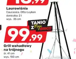 Bricomarche Grill wahadłowy na trójnogu oferta