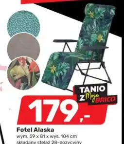Fotel Alaska