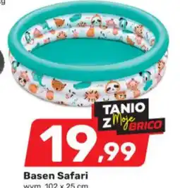 Basen Safari