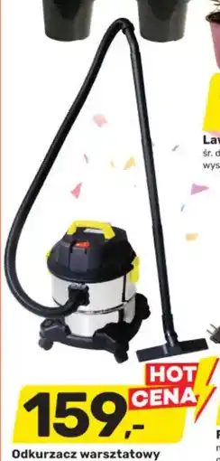 Bricomarche Odkurzacz warsztatowy oferta