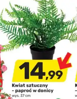 Bricomarche Kwiat sztucznypaproć w donicy oferta