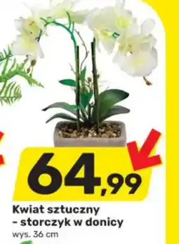 Bricomarche Kwiat sztucznystorczyk w donicy oferta