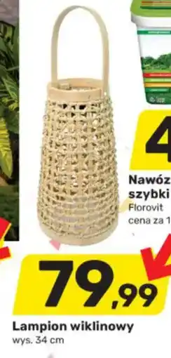 Bricomarche Lampion wiklinowy oferta