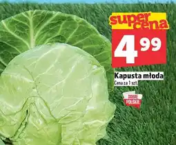 Topaz Kapusta młoda TOPAZ oferta
