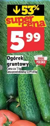 Topaz Ogórek gruntowy TOPAZ oferta