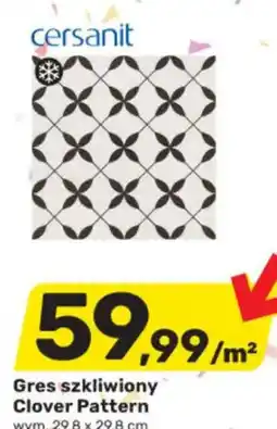Bricomarche Gres szkliwiony Clover Pattern oferta