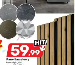 Bricomarche Panel lamelowy oferta