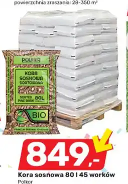 Bricomarche Kora sosnowa Polkor oferta