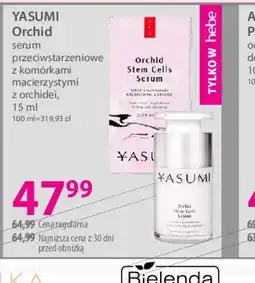 Hebe Yasumi Orchid oferta