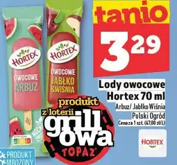 Topaz Lody owocowe Hortex 70 ml oferta