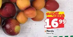 Topaz Morela TOPAZ oferta