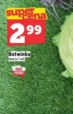 Topaz Botwinka TOPAZ oferta