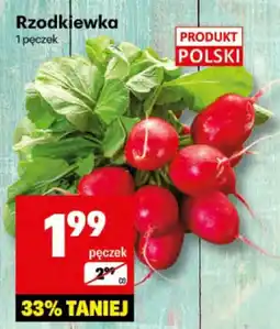 Delikatesy Centrum Rzodkiewka 1 pęczek Delikatesy Centrum oferta