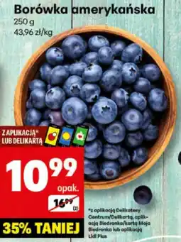 Delikatesy Centrum Borówka amerykańska 250 g Delikatesy Centrum oferta