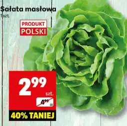 Delikatesy Centrum Sałata masłowa 1 szt. Delikatesy Centrum oferta