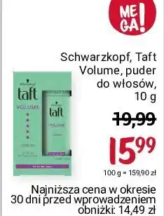 Intermarche Puder do włosów 1 SZT 10 G oferta