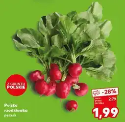Kaufland Polska rzodkiewka pęczek oferta