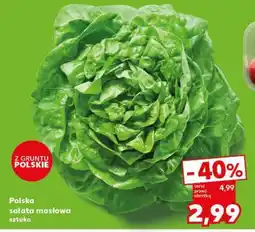 Kaufland Polska sałata masłowa oferta