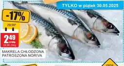 Bingo Makrela chłodzona patroszona Noriva oferta