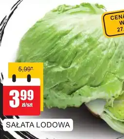 Bingo Sałata lodowa oferta