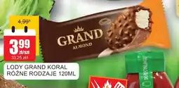 Bingo Lody Grand Koral oferta