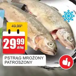Bingo Pstrąg mrożony patroszony oferta