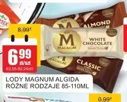 Bingo Lody Magnum Algida oferta