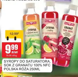 Bingo Syropy do saturatora, sok z granatu 100% NFC Polska Róża oferta