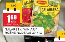Bingo Galaretki Winiary oferta
