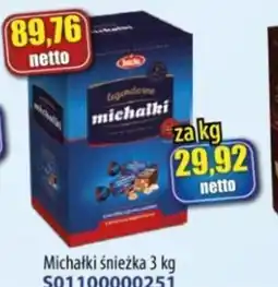 AT Michałki śnieżka oferta