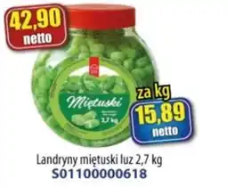 AT Landryny miętuski luz oferta