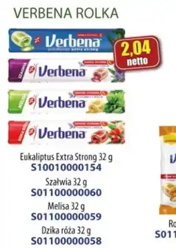 Verbena Rolka