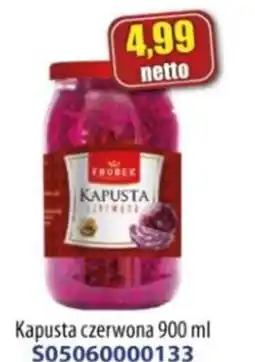 AT Kapusta czerwona oferta