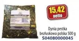 AT Dynia pestka oferta