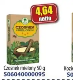 AT Czosnek mielony oferta