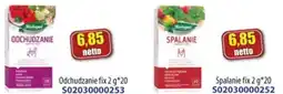 AT Herbatka ziołowa oferta