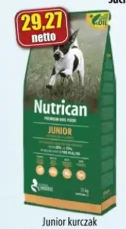 AT Nutrican Junior oferta