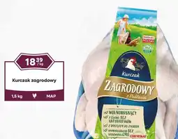 Dantex Kurczak zagrodowy oferta