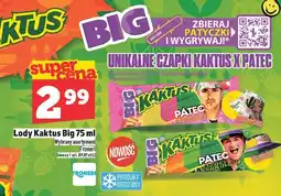 Topaz Lody Kaktus Big 45 ml Froneri oferta