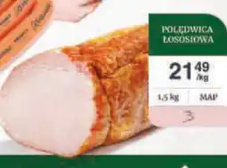 Dantex Polędwica łososiowa oferta