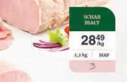 Dantex Schab biały oferta