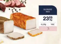 Dantex Słoniny mix oferta