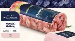 Dantex Ozory w galarecie oferta