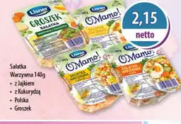 DUO-TES Sałatka Lisner oferta